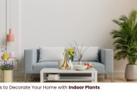 Best Indoor Plants for Adding Color to Your Home Décor