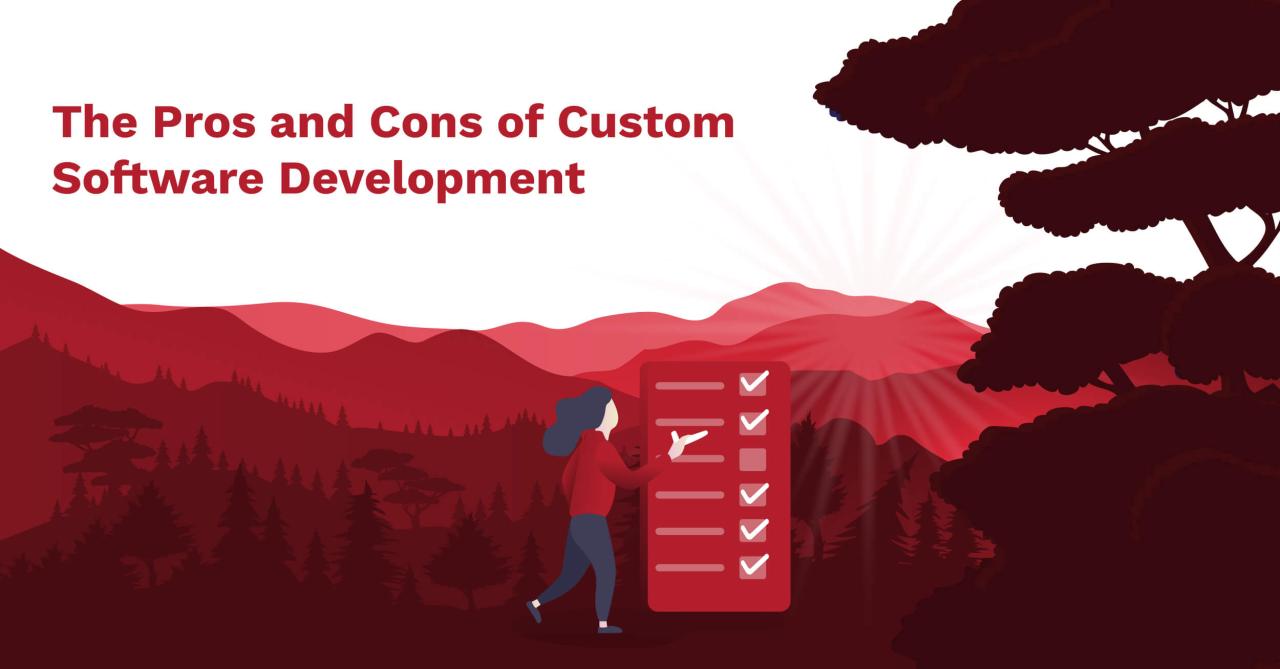 The Pros and Cons of Custom Software Development Explained