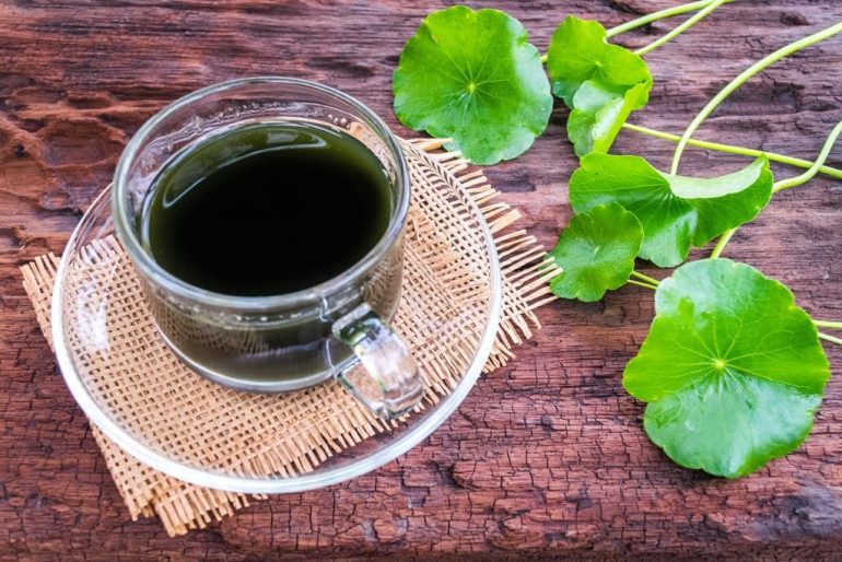 Herbal Teas That Help with Anxiety and Focus