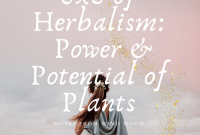 The Power of Plants and Candles in Transforming Your Homes Ambience