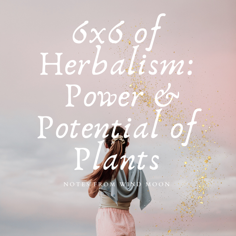 The Power of Plants and Candles in Transforming Your Homes Ambience