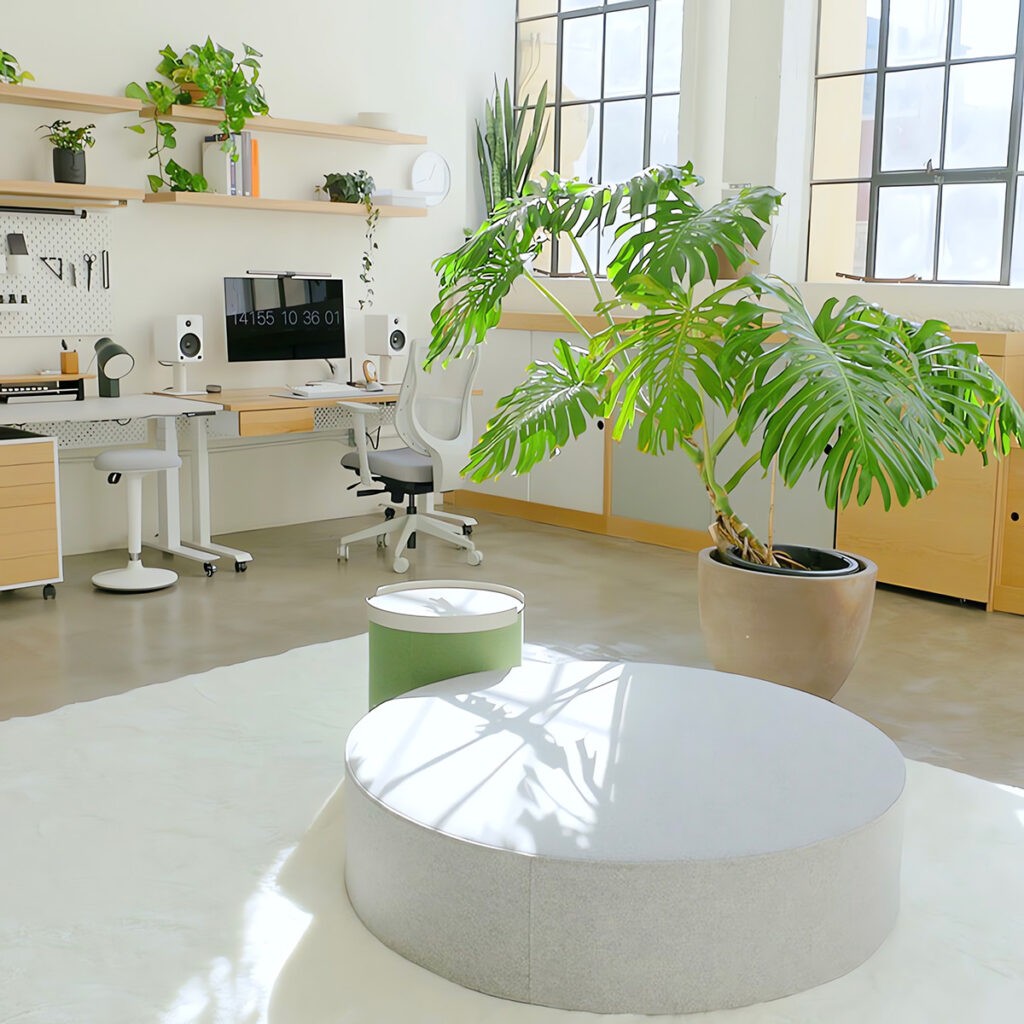 How to Incorporate Indoor Plants into Your Home Office Effectively