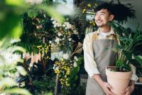 Indoor Plant Shopping Where to Buy Rare Varieties Indoor Plant Shopping Where to Buy Rare Varieties