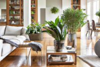 Decorating Your Living Room with Rare Indoor Plants Decorating Your Living Room with Rare Indoor Plants